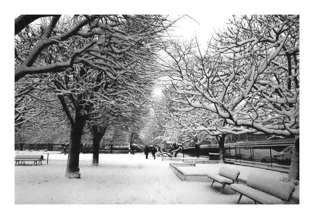 black and white 35mm film photo sample in the snow