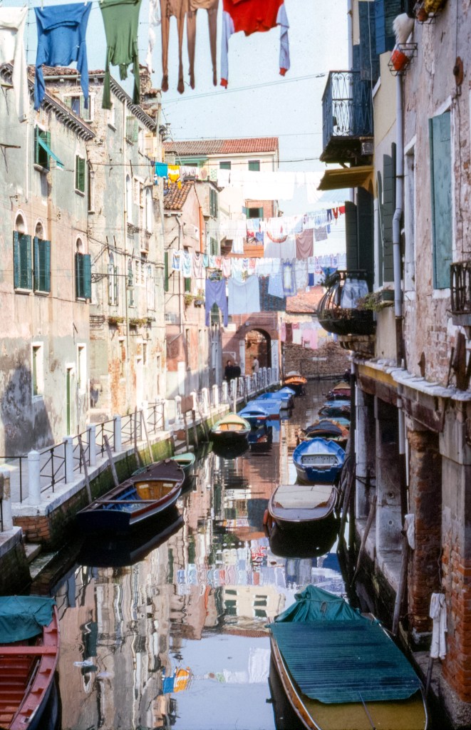 venice sample photo of best vintage 35mm camera AE-1 Program from canon