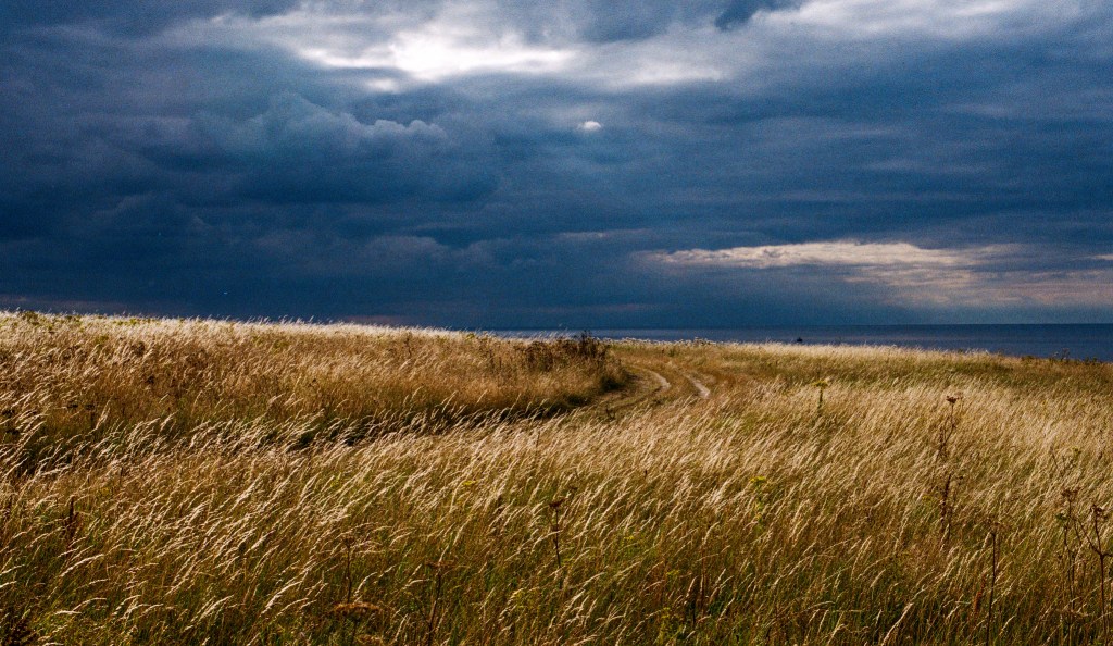 landscape sample image from best nikon 35mm film camera