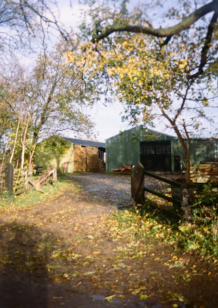 sample image of a house from best budget film point and shoot camera
