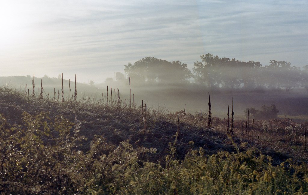 great landscape sample image of 35mm film