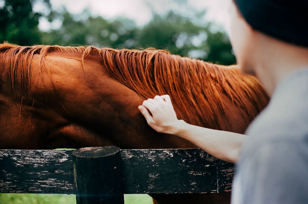 beautiful film photo of man and horse
