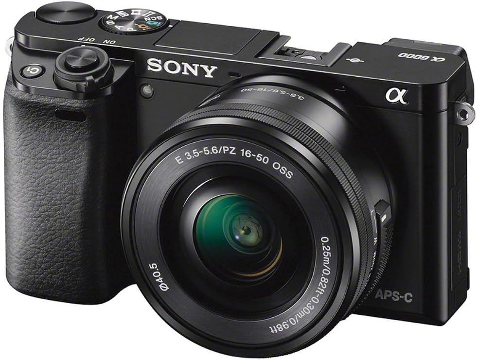best beginner affordable sony mirrorless camera