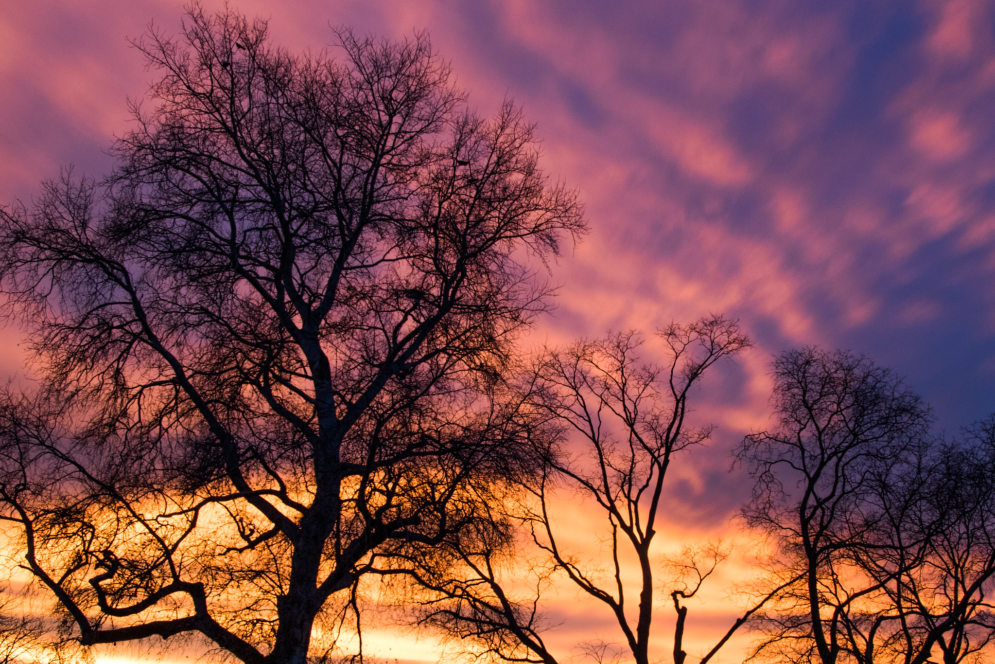 landscape photography example with canon mirrorless setup for new photographers