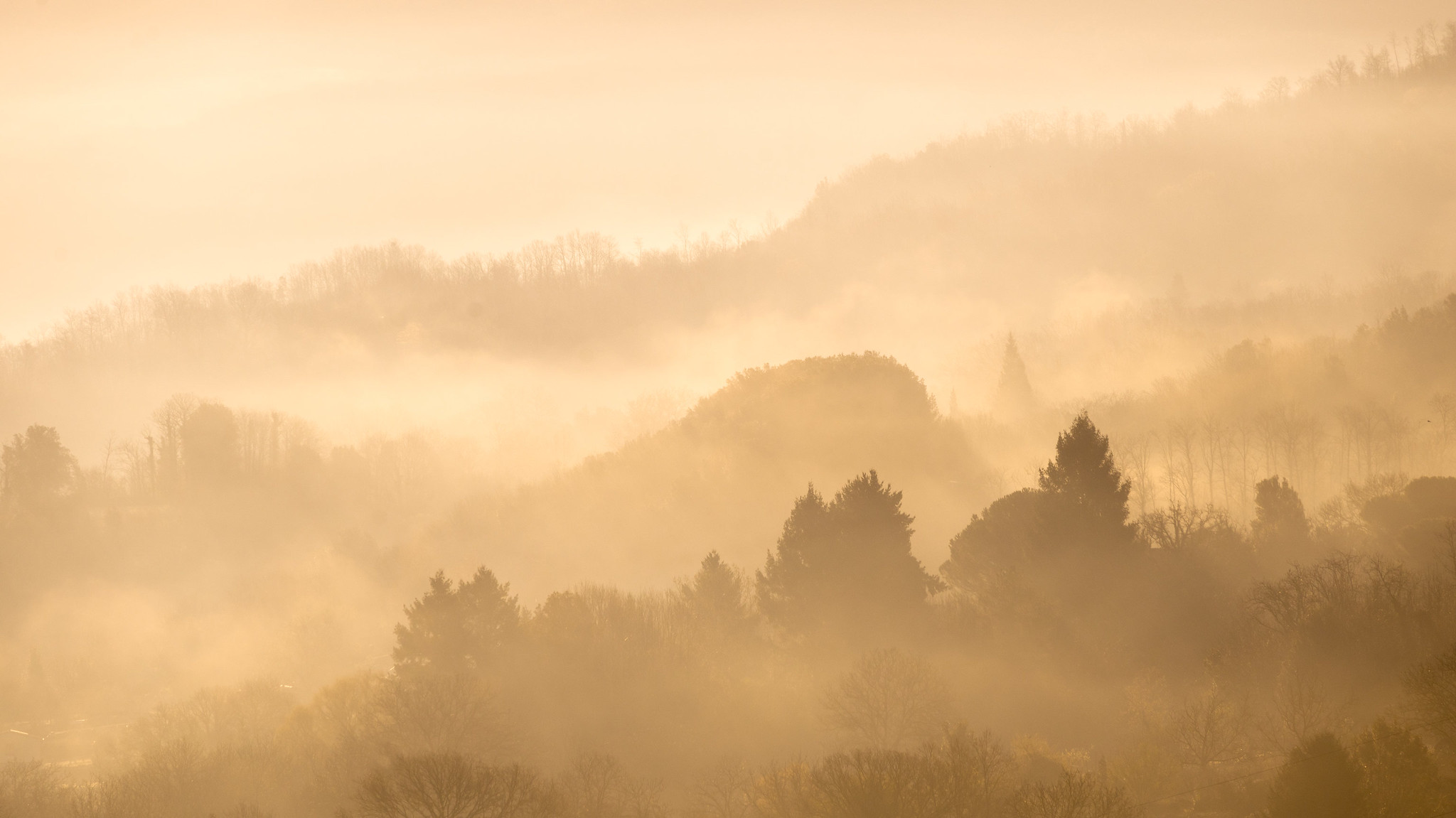 landscape photography with nikon z50