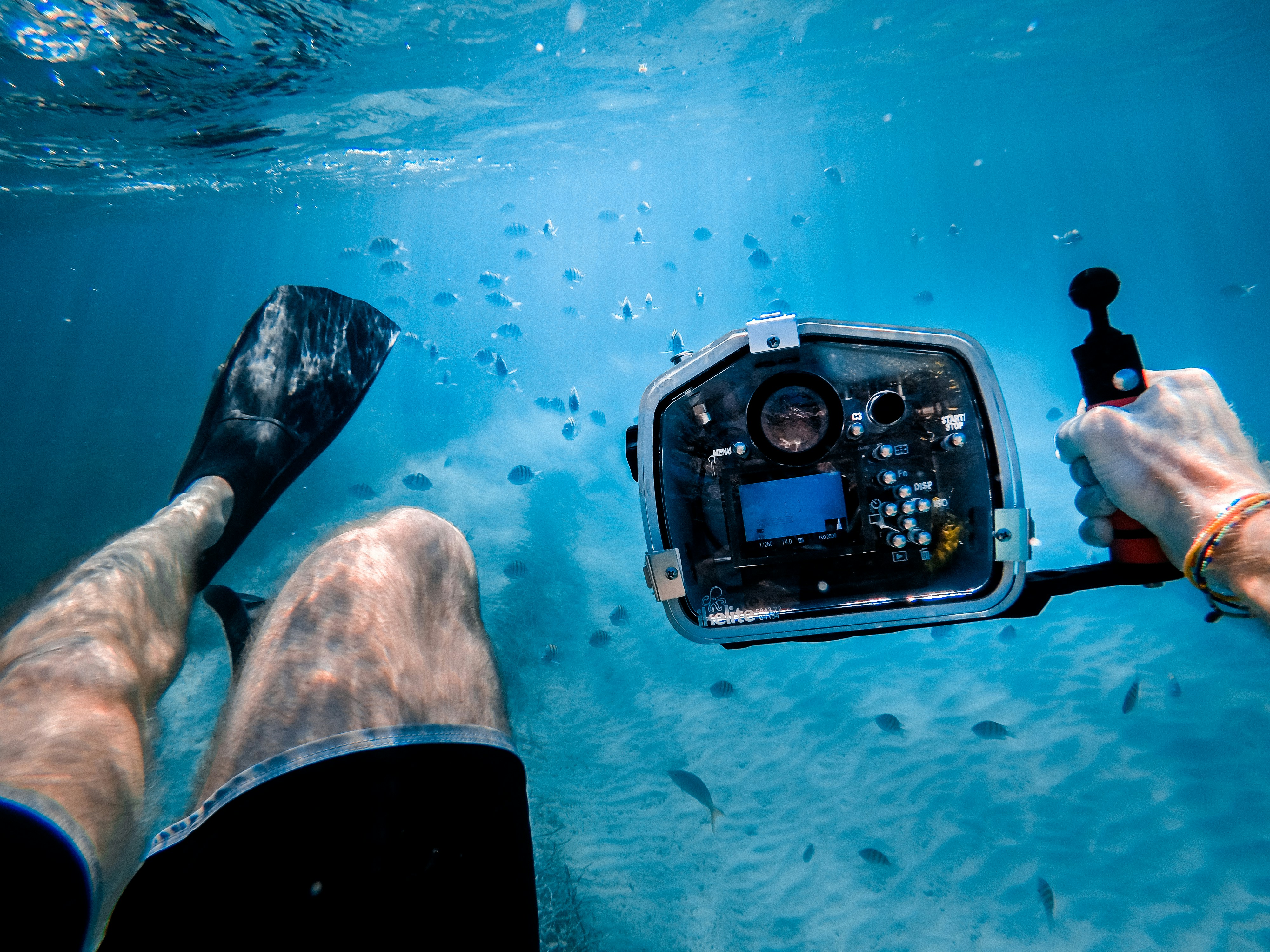 5 Best Underwater Cameras (Pro, Budget, Diving)