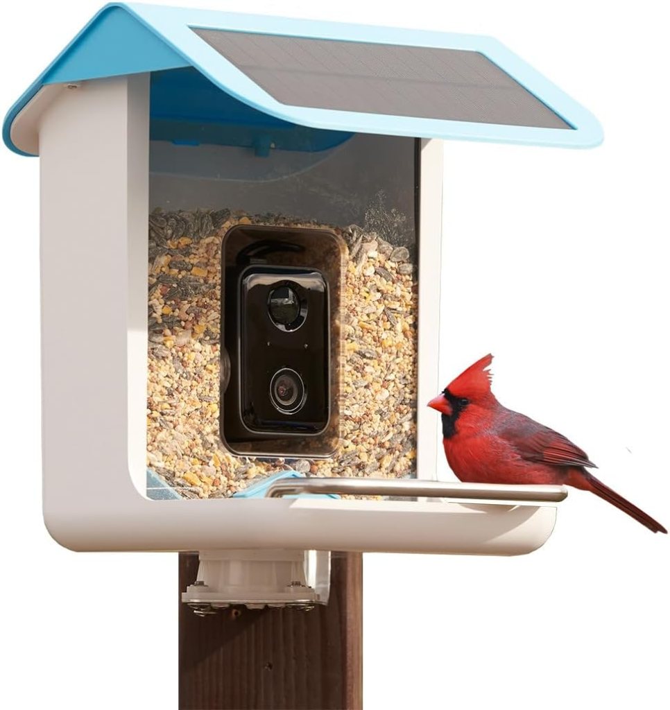 A smart bird feeder with a built-in camera and solar panel, featuring a red bird perched on the feeding tray. The feeder has a clear container for seeds and is mounted on a post.
