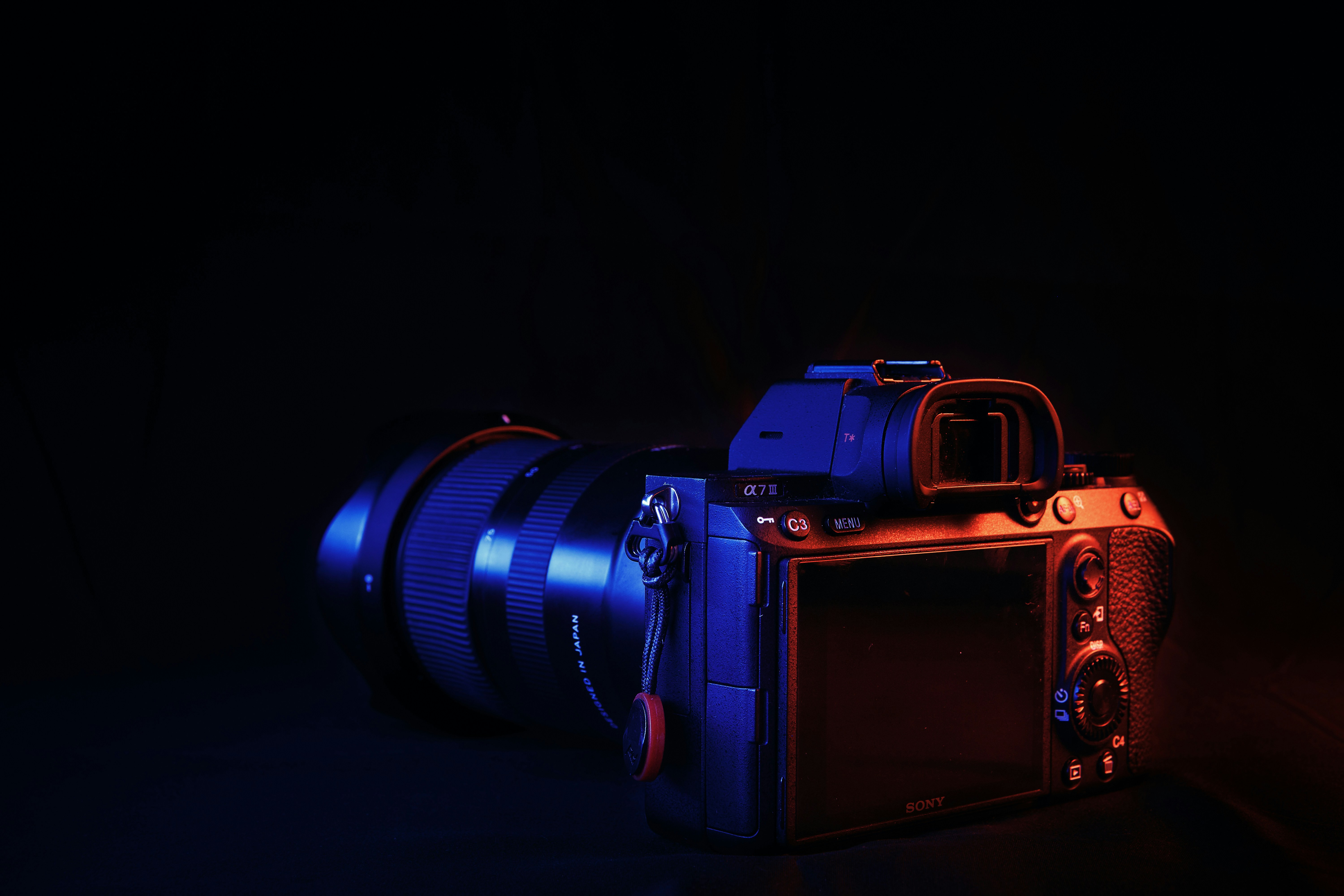 Is Sony a6100 the Best Cheap Camera for Beginners?