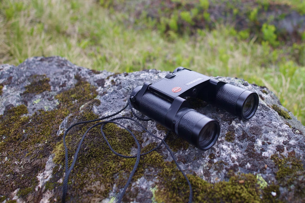 5 Best Binoculars With Cameras (Birding, Travel, Night)