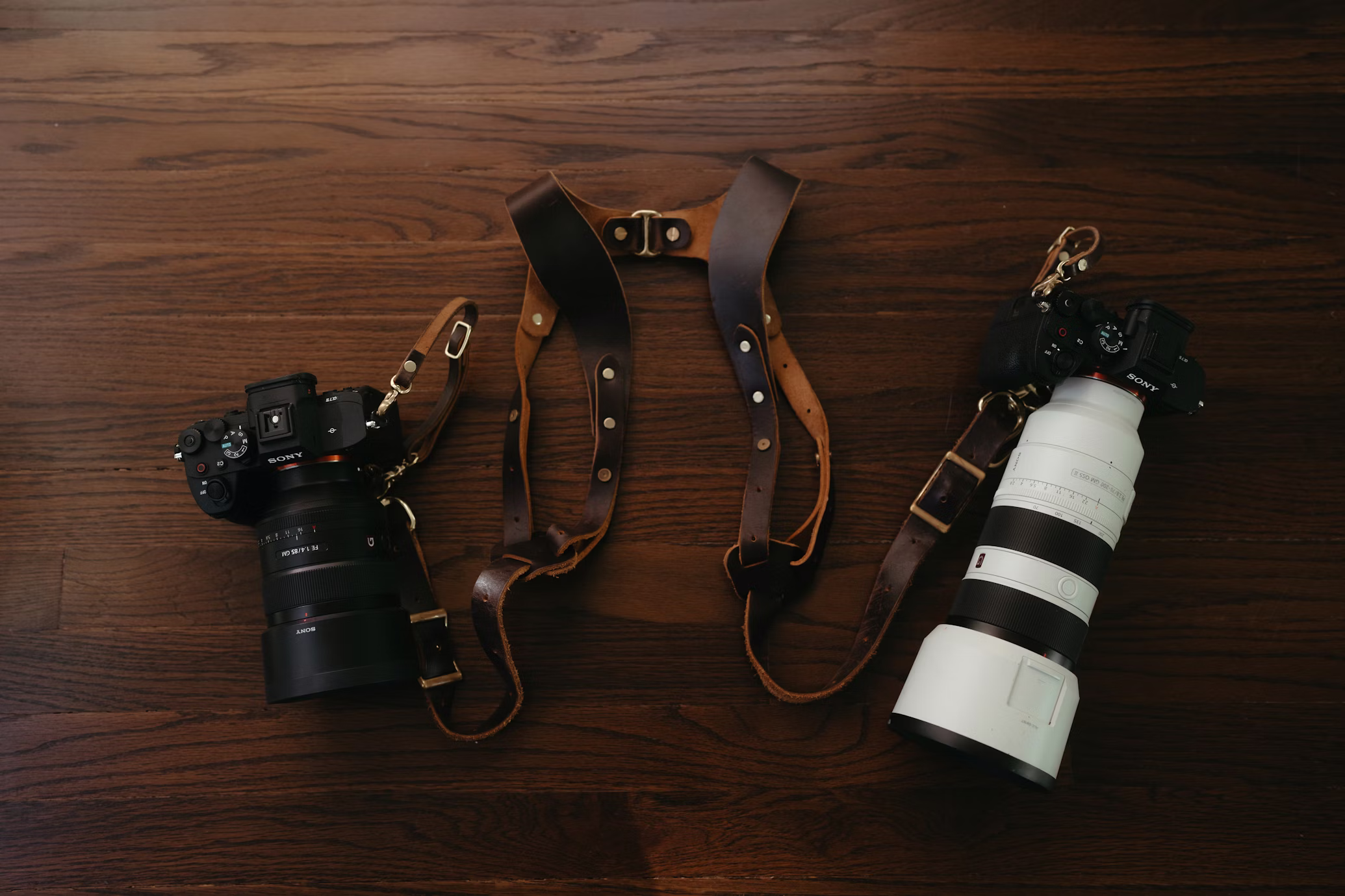 5 Best Camera Harnesses (Reviewed & Tested)