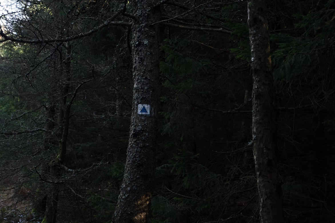 5 Best SPYPOINT Cameras Worth Buying Right Now