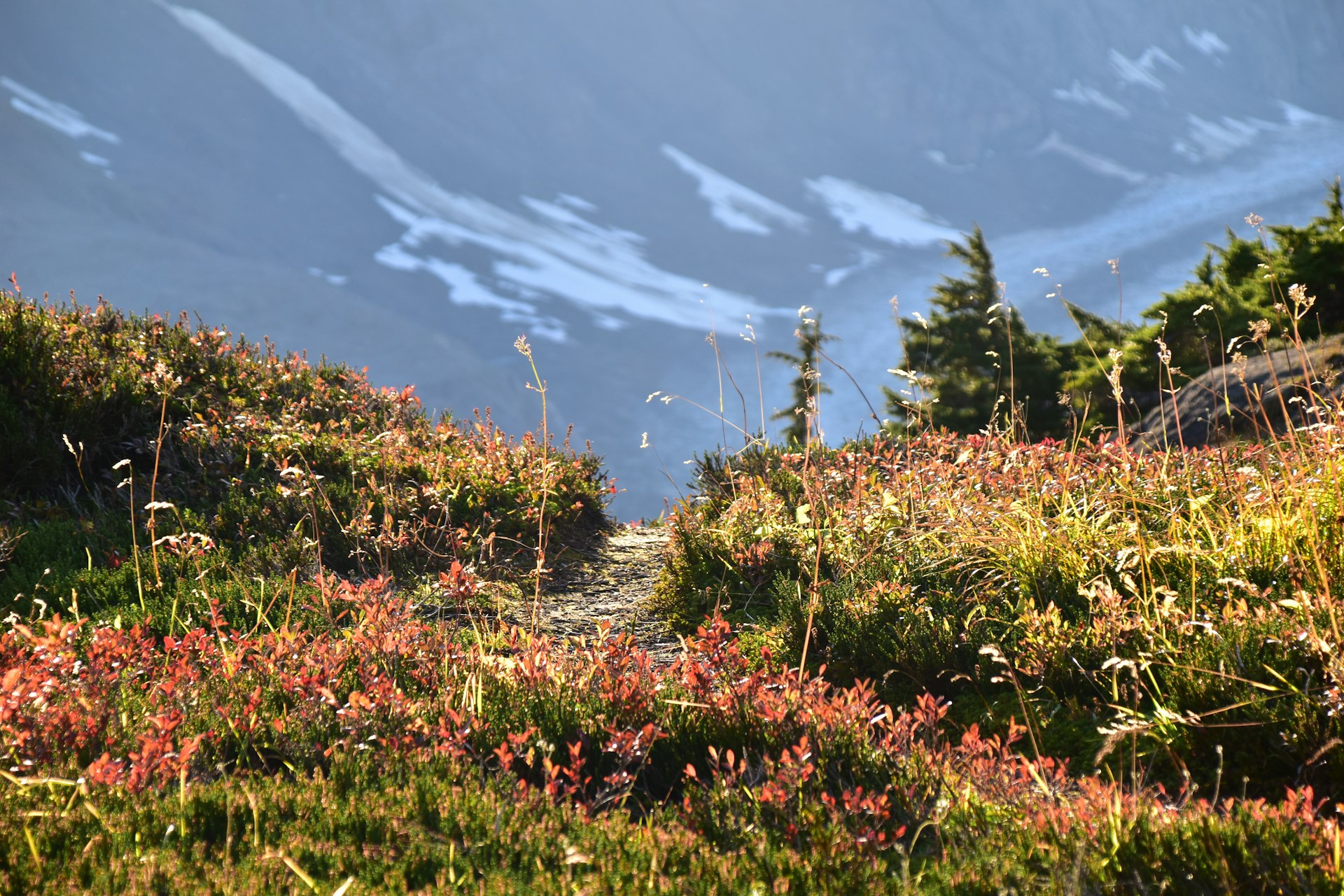 5 Best Cameras for Alaska Cruises (Tested & Reviewed)