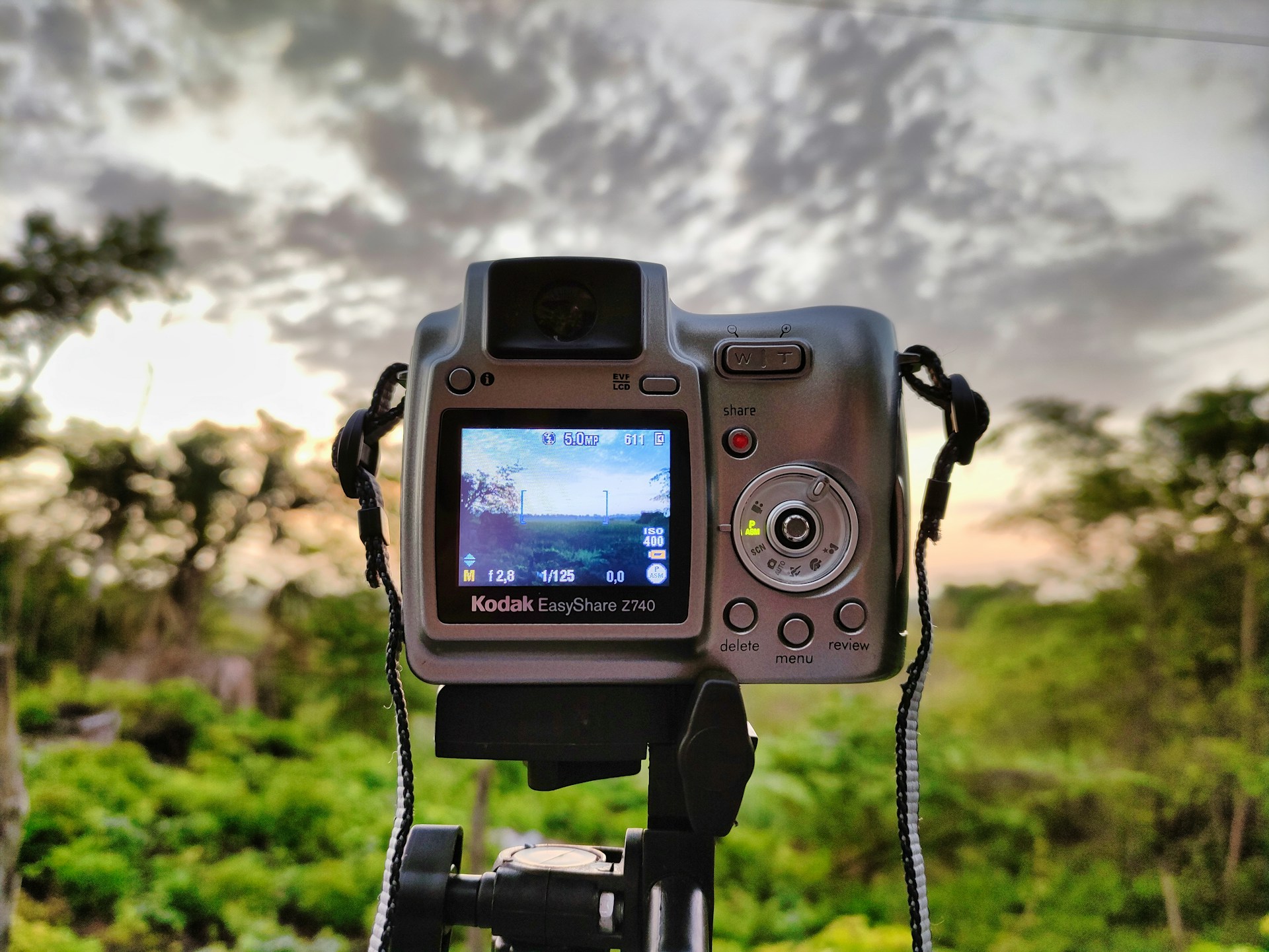 5 Best Kodak Digital Cameras (Tested & Reviewed)